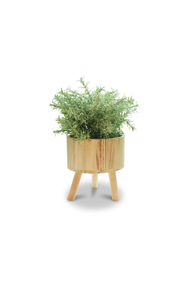 Grass in Wooden Pot