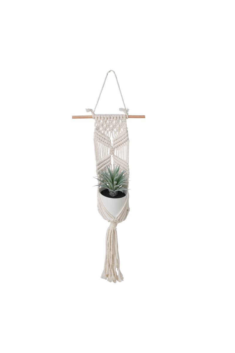 Sword Grass in Ceramic Pot with Macrame Hanging