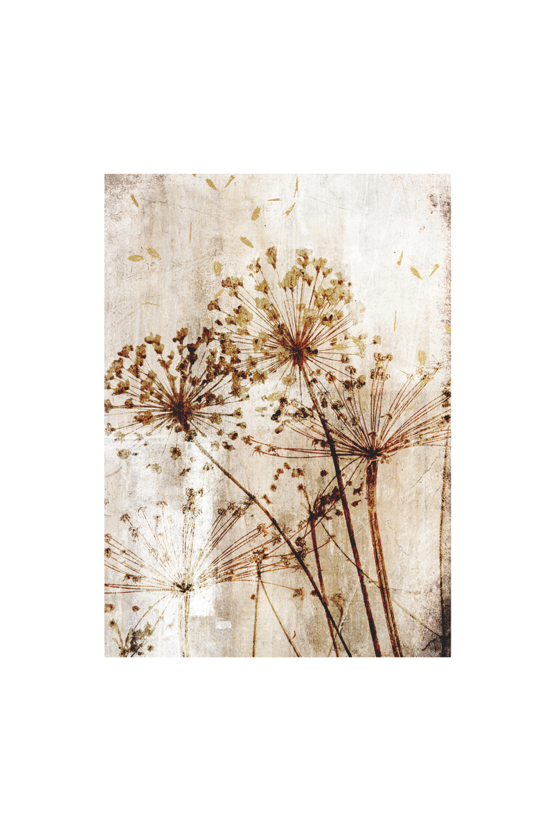 Outdoor Canvas 100x140cm - Dandelions (Markdown)