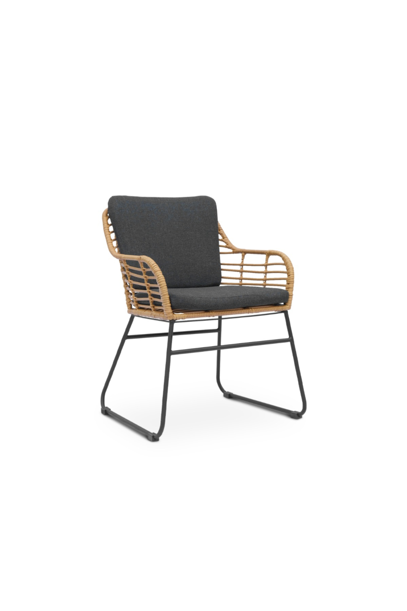 Kerria Outdoor/Indoor Arm Chair